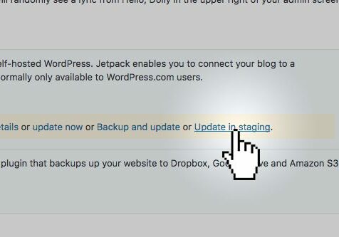 Wordpress Backups - Staging Wordpress Backups - Staging