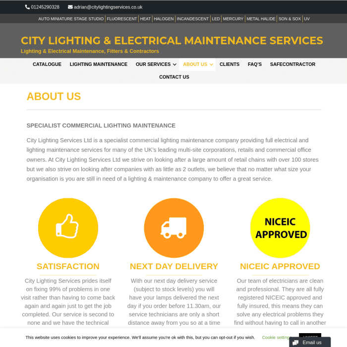 City Lighting Powered by WordPress Designed and Managed by Solve My Problem